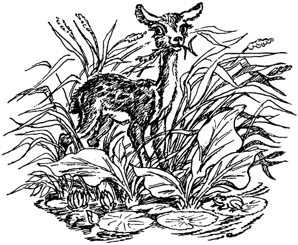 Новый Ной - i_026.png