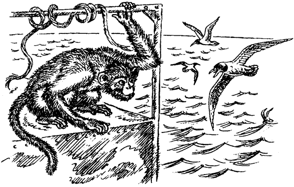 Новый Ной - i_028.png