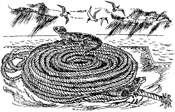 Новый Ной - i_029.png