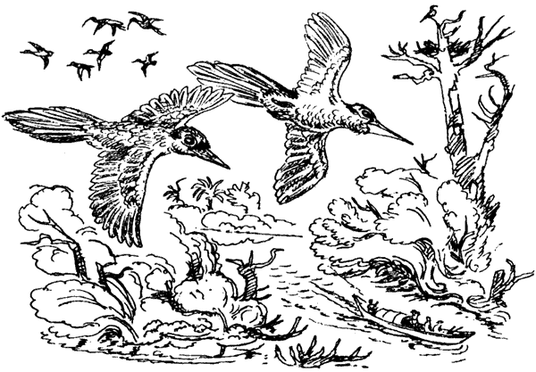 Новый Ной - i_032.png