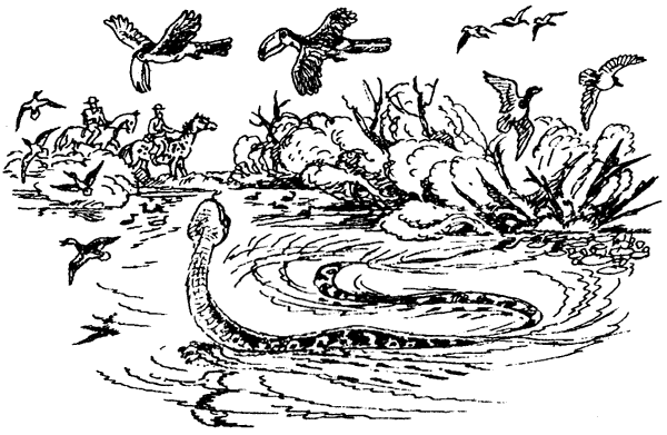 Новый Ной - i_061.png