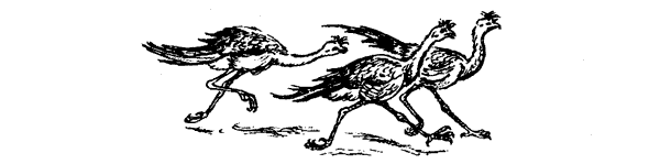 Новый Ной - i_062.png