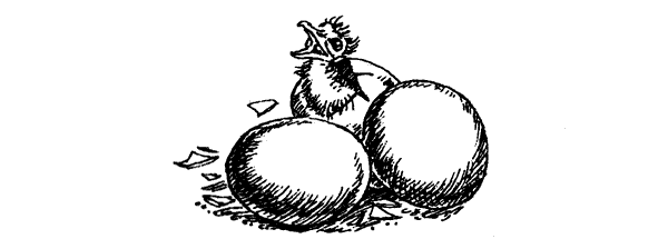 Новый Ной - i_065.png