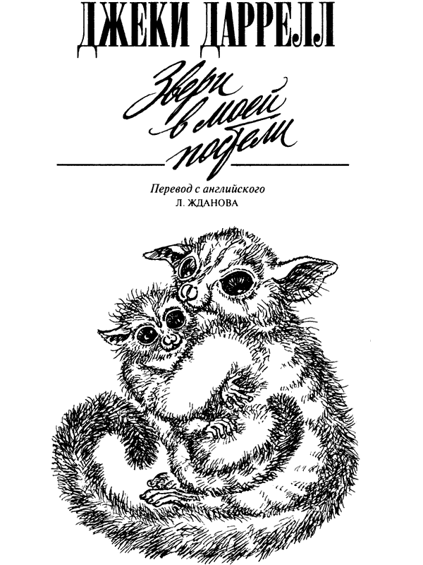 Новый Ной - i_066.png