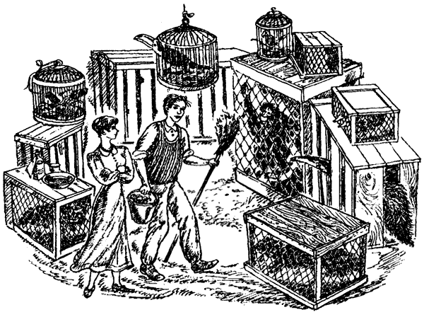 Новый Ной - i_067.png