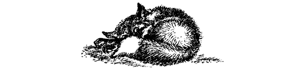 Новый Ной - i_068.png