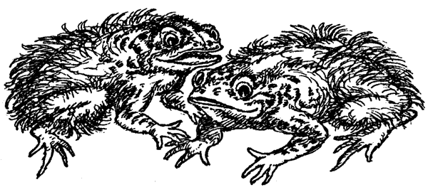 Новый Ной - i_070.png