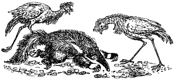 Новый Ной - i_072.png