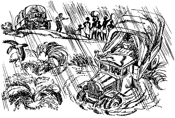 Новый Ной - i_075.png