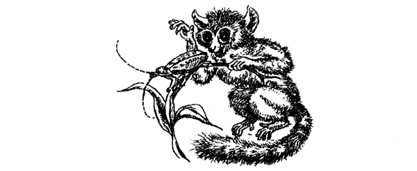 Новый Ной - i_076.png