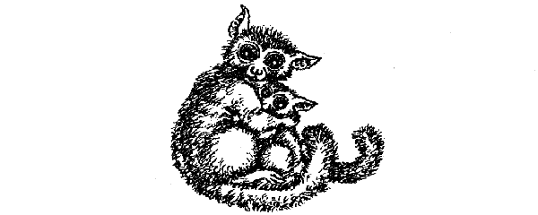 Новый Ной - i_078.png