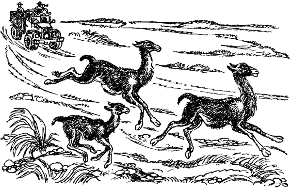 Новый Ной - i_079.png