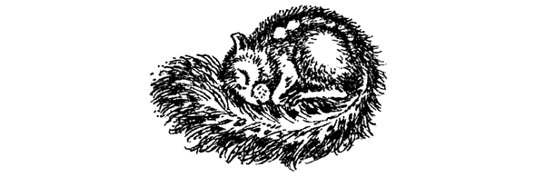 Новый Ной - i_083.png