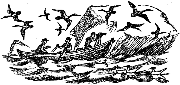 Новый Ной - i_085.png