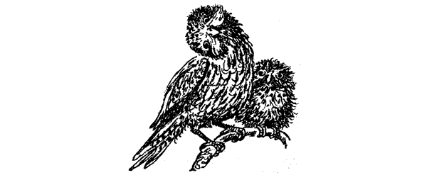 Новый Ной - i_087.png