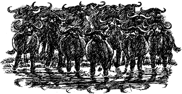 Новый Ной - i_089.png