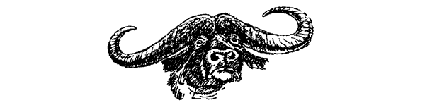 Новый Ной - i_090.png