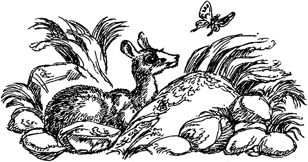 Новый Ной - i_093.png