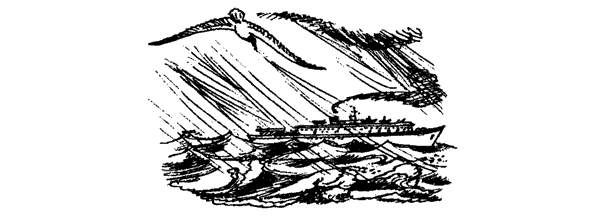 Новый Ной - i_094.png