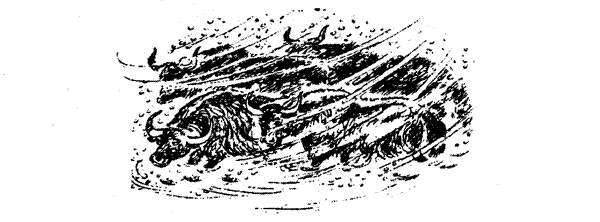 Только звери. Сад богов. Пикник и прочие безобразия. - i_055.png