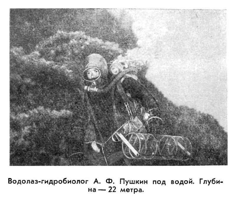 С аквалангом в Антарктике - i_008.jpg