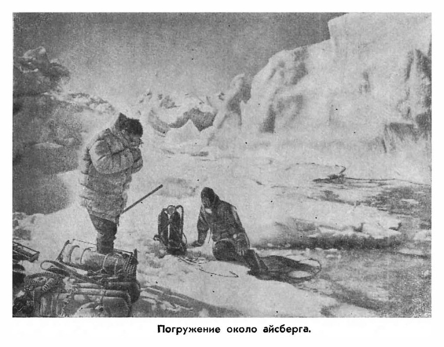 С аквалангом в Антарктике - i_046.jpg