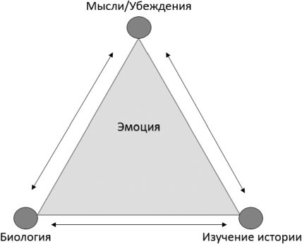 Секрет жизнестойкости. Руководство для родителей по воспитанию уверенных детей и подростков в неспокойное время - i_005.jpg