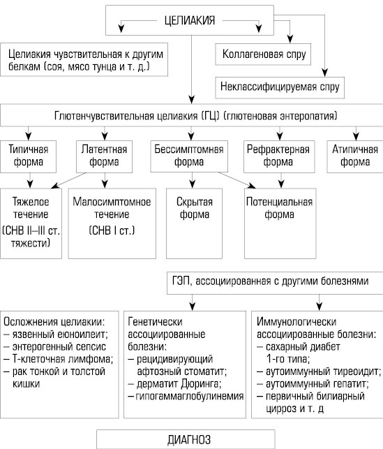 Энциклопедия нераспознанных диагнозов. Современные методы диагностики и лечения: Том 1. Том 2 - i_005.jpg