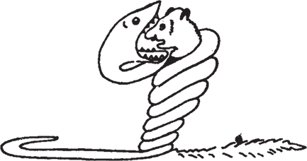 Маленький принц (Другой перевод) - i_001.png