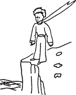 Маленький принц (Другой перевод) - i_009.png