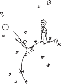 Маленький принц (Другой перевод) - i_010.png