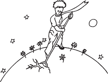 Маленький принц (Другой перевод) - i_015.png