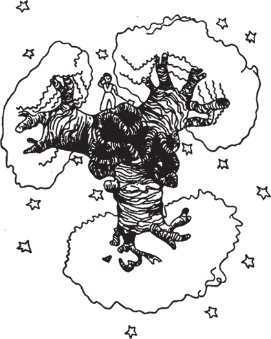 Маленький принц (Другой перевод) - i_016.png