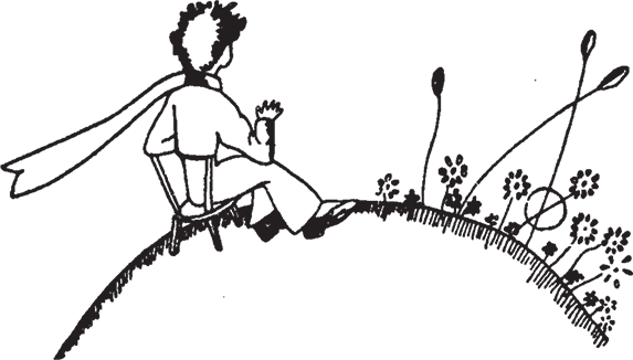 Маленький принц (Другой перевод) - i_017.png