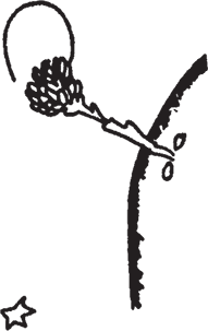 Маленький принц (Другой перевод) - i_018.png