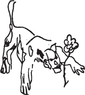 Маленький принц (Другой перевод) - i_021.png