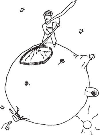 Маленький принц (Другой перевод) - i_023.png