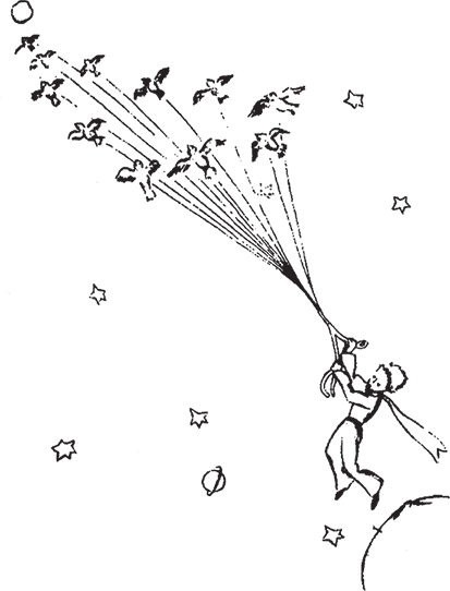 Маленький принц (Другой перевод) - i_025.png