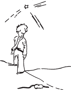 Маленький принц (Другой перевод) - i_033.png