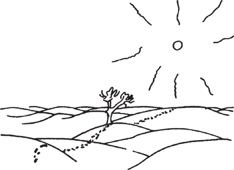 Маленький принц (Другой перевод) - i_034.png