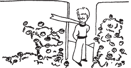 Маленький принц (Другой перевод) - i_036.png