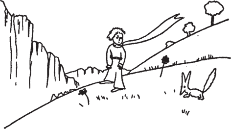 Маленький принц (Другой перевод) - i_037.png