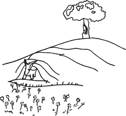 Маленький принц (Другой перевод) - i_039.png