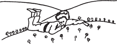 Маленький принц (Другой перевод) - i_040.png