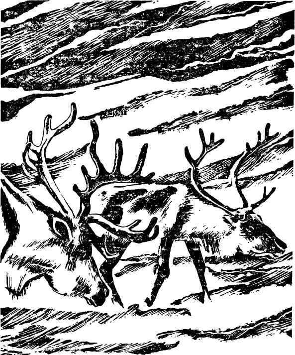 Глубина - img_20.jpeg