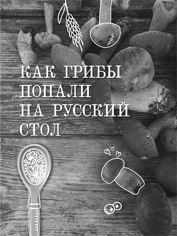 Постная грибная кухня: традиции и рецепты. Более 200 повседневных и праздничных блюд - i_005.jpg