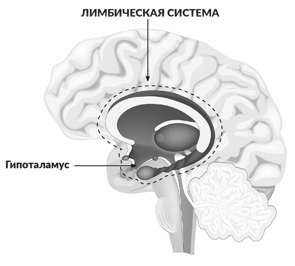 Перезагрузи мозг и узнай, на что ты способен - i_004.jpg