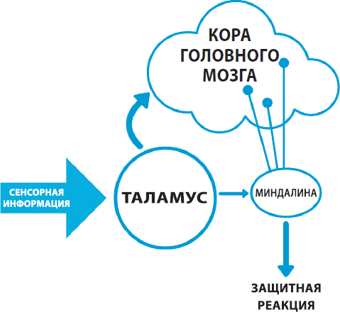 Перепрограммируйте свой мозг с ОКР. Мощные навыки и эффективные методики освобождения от навязчивых мыслей и страхов - i_004.png