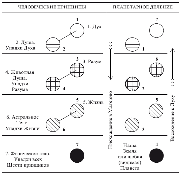 Тайная доктрина. Космогенезис и Антропогенезис - i_006.png