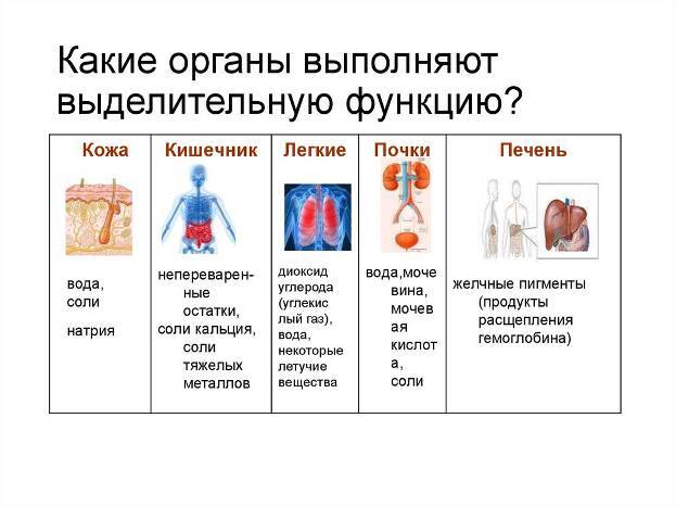 Главные ключи красоты - _0.jpg